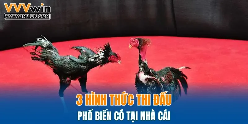 3 hình thức thi đấu phổ biến có tại nhà cái