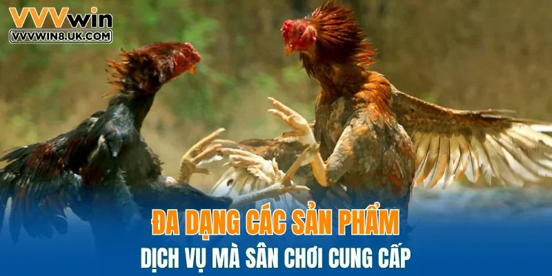 Tổng hợp các sản phẩm phổ biến tại nền tảng